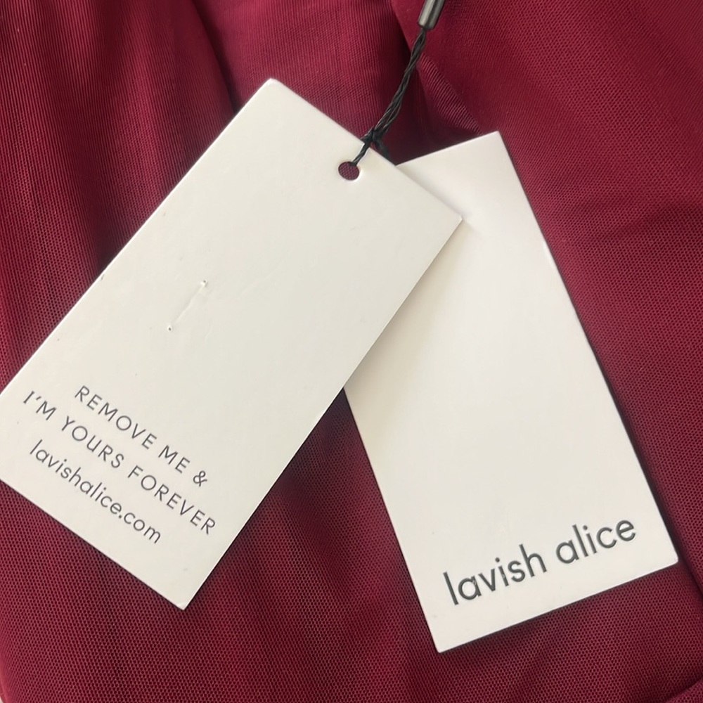 Lavish Alice Mesh Corset Dress Burgundy - Picture 5 of 6